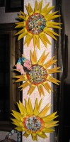 /album/galleria-foto/girasole-3-jpg3/